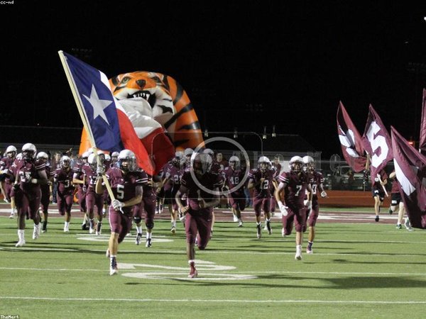 成人?？茍竺枰獞艨诒締?？ 配圖2