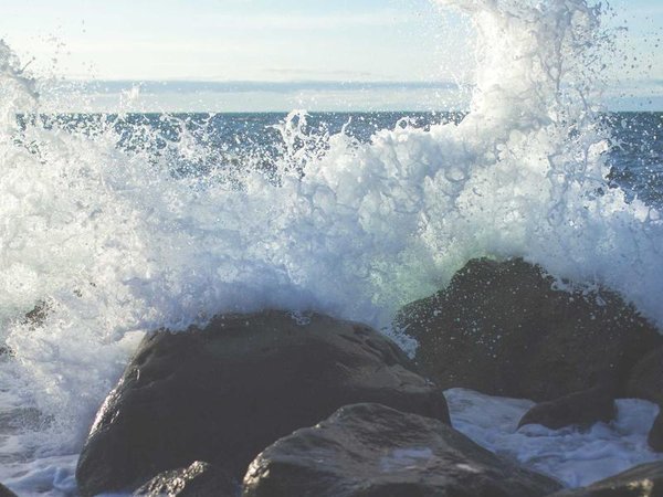 成人本科可以申請獎學(xué)金嗎？ 配圖1