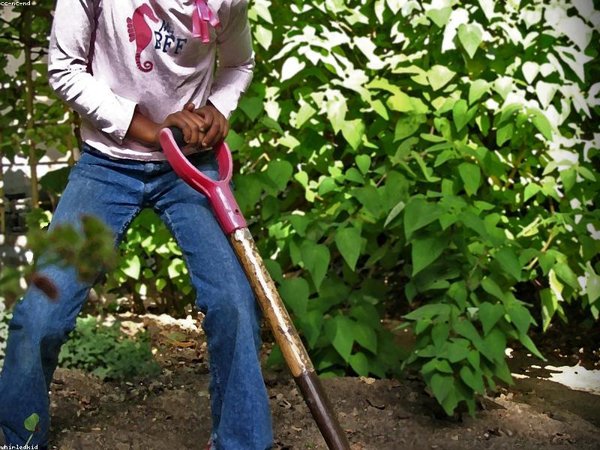 成人?？瓶荚嚳颇坑新殬I(yè)規(guī)劃嗎？ 配圖3