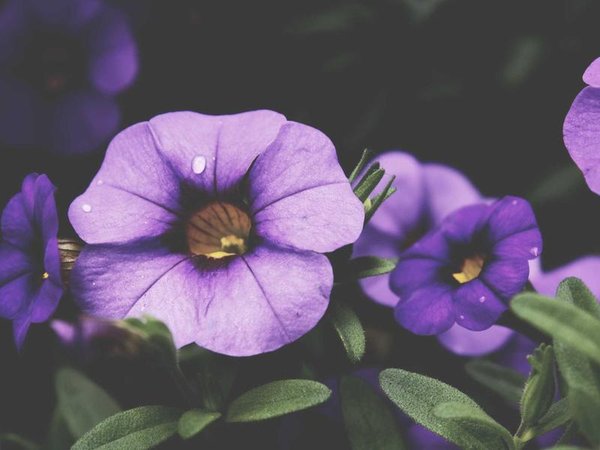 老年護(hù)理師考試有老人護(hù)理實操嗎？ 配圖1