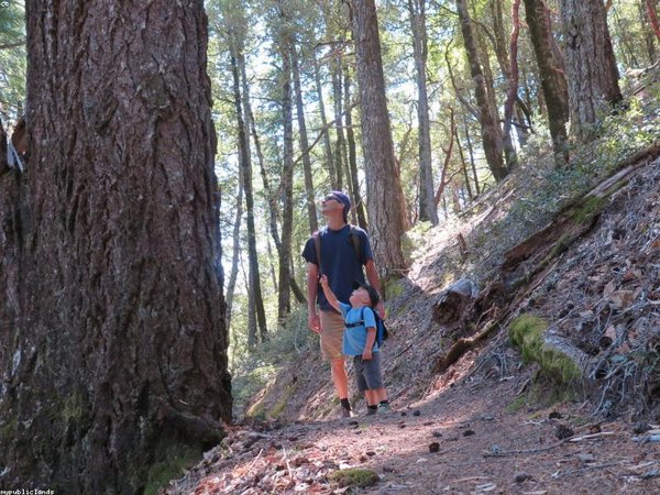 別瞎報(bào) MBA！這 3 類人讀了才最劃算 配圖3