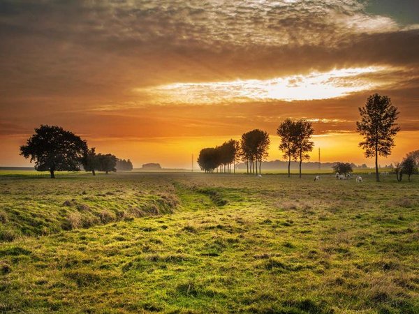 國際單證 MBA 可以報考博士嗎？ 配圖1