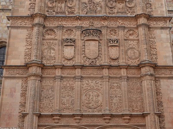 國際單證 MBA 可以報考博士嗎？ 配圖2