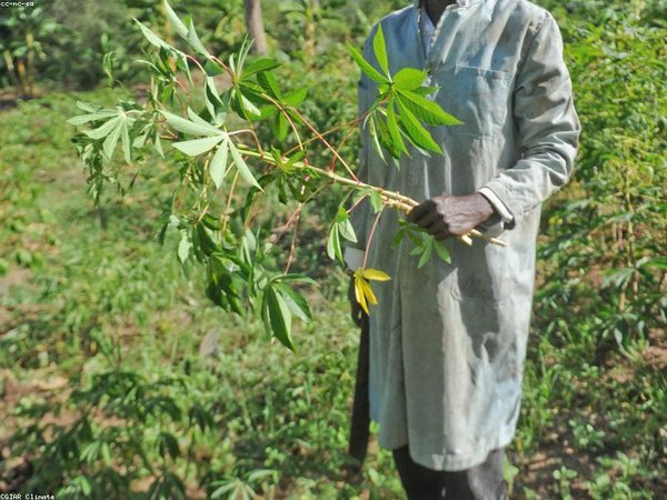 免聯(lián)考 EMBA 學(xué)費(fèi)多少？4.98 萬起項(xiàng)目推薦 配圖1