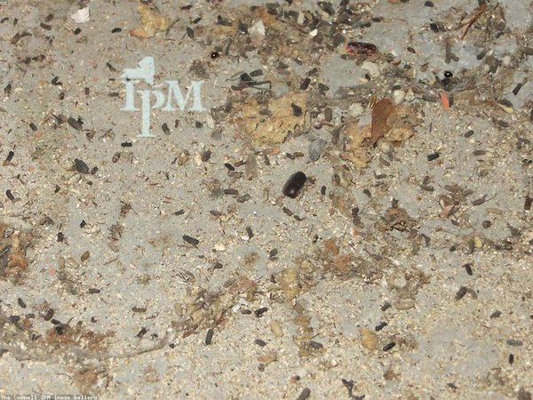 金門大學(xué)教育學(xué)博士：留學(xué)機(jī)構(gòu)創(chuàng)始人管理能力升級 配圖1