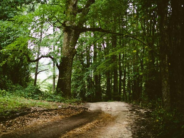 DBA 對企業(yè)管理的賦能：從實踐到理論的升華 配圖1