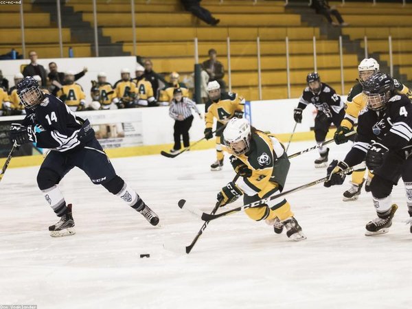胡安卡洛斯國王大學(xué)教育學(xué)博士適合民辦學(xué)校董事長嗎？ 配圖1