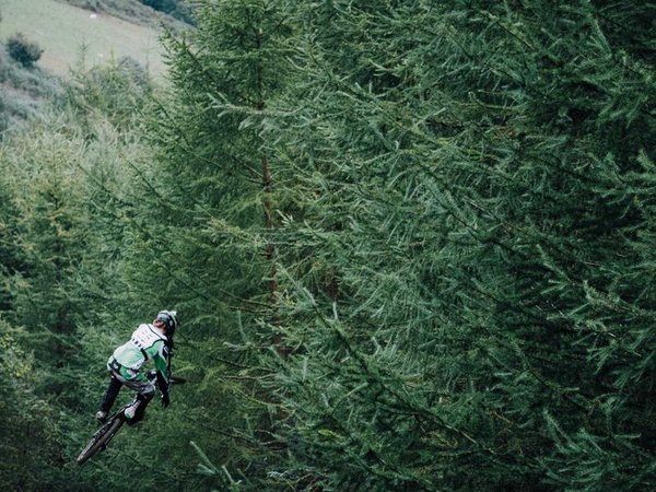 莫大博士后報名材料清單是什么？全套明細 配圖3