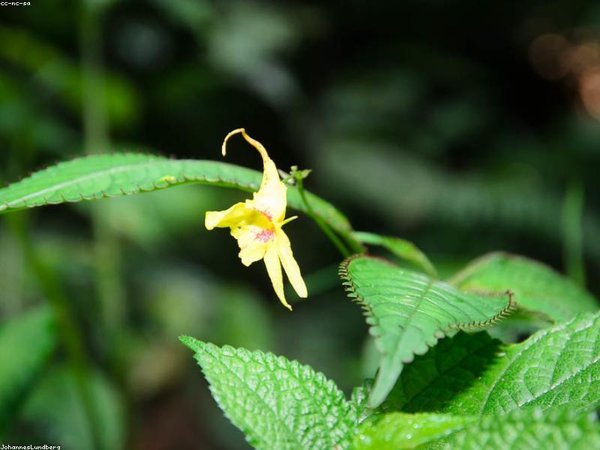 企業(yè)家專屬莫大博士后，中俄商業(yè)圈層直達(dá) 配圖3