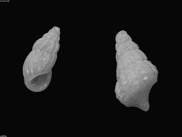 莫大博士后一對(duì)一面試輔導(dǎo)，模擬實(shí)戰(zhàn) 配圖3