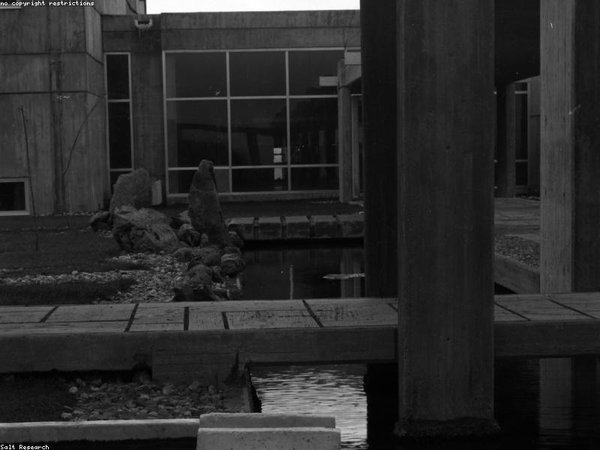 莫斯科國立大學(xué)博士后項目俄羅斯移民申請加分優(yōu)勢解析 配圖2