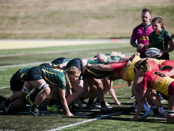 莫斯科國立大學(xué)博士后項(xiàng)目的報(bào)名條件具體包含哪些內(nèi)容？ 配圖3