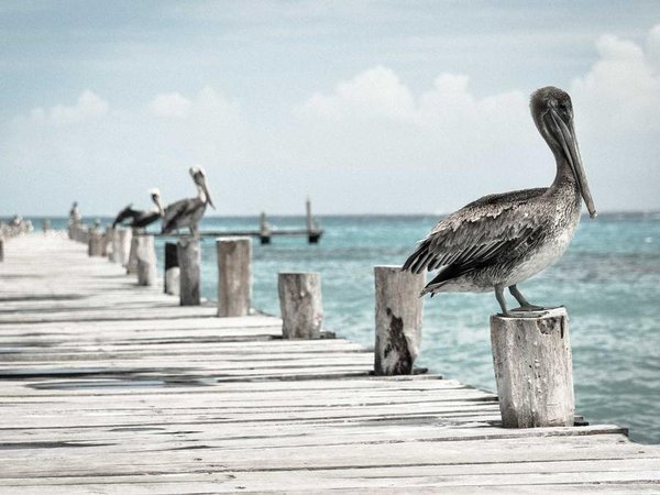 領(lǐng)導力課程報名截止日期？時限 配圖3