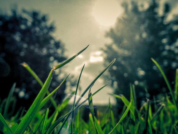 企業(yè)培訓(xùn)如何高效學(xué)習(xí)？通關(guān)技巧分享 配圖2