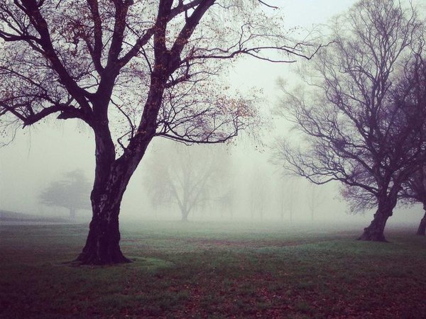 成人本科可以考國企招聘管理崗嗎？ 配圖2