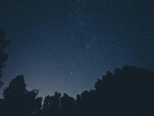 婚姻家庭咨詢師能進社區(qū)嗎？ 配圖2