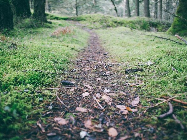 哈佛大學(xué)博士后研究班2026年5月正式開(kāi)課 配圖1