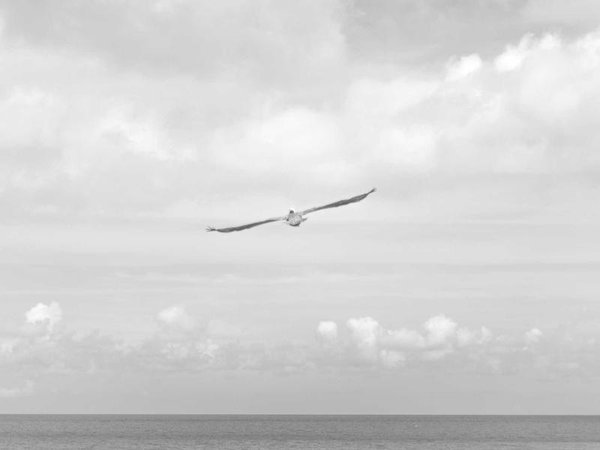 香港財經(jīng)學(xué)院2026年7月開課 配圖1