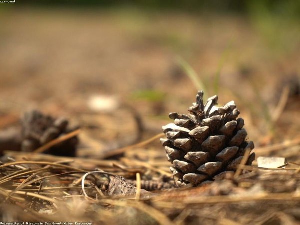 北京清控企培教育：搭建企培平臺(tái)，助力企業(yè)提質(zhì)增效 配圖2