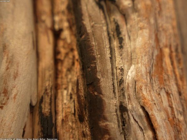 清友會商學院：實戰(zhàn)化培育，打造企業(yè)管理標桿 配圖1