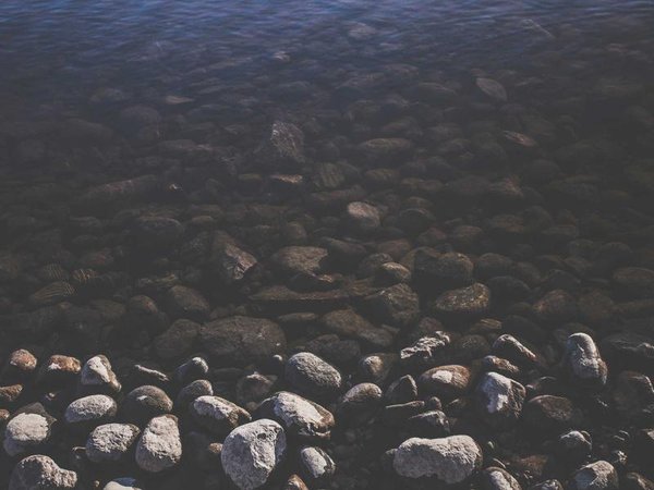 巴黎商學(xué)院：匯聚商科大咖，分享實(shí)戰(zhàn)商業(yè)經(jīng)驗(yàn) 配圖2