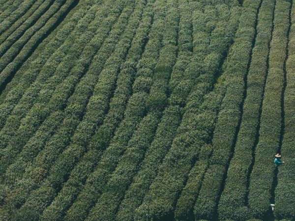 胡安卡洛斯國(guó)王大學(xué)IUNIT的碩士培養(yǎng)周期是多久？ 配圖2