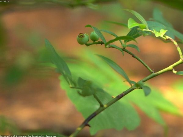 胡安卡洛斯國(guó)王大學(xué)IUNIT的碩士培養(yǎng)周期是多久？ 配圖1