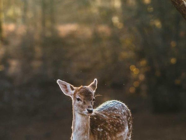 運河商學(xué)院主要開設(shè)哪些課程？ 配圖3