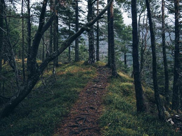 2026 年新增 EMBA 招生院校名單，搶先了解 配圖1