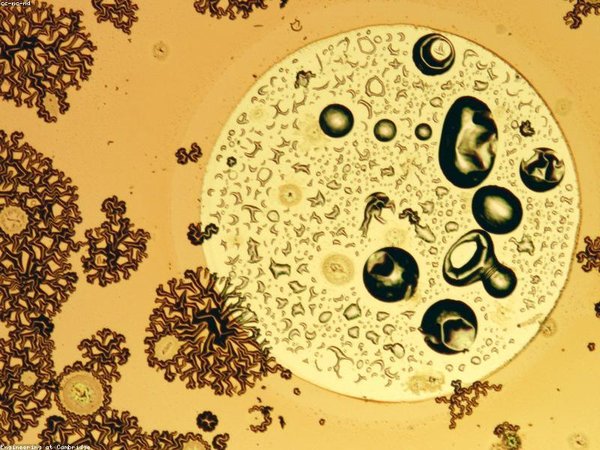 穆爾西亞大學(xué)醫(yī)療健康管理博士適合體檢集團(tuán)高管嗎？ 配圖2