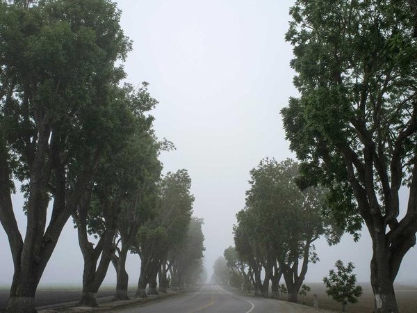 穆爾西亞大學(xué)醫(yī)療健康管理博士適合體檢集團(tuán)高管嗎？ 配圖1