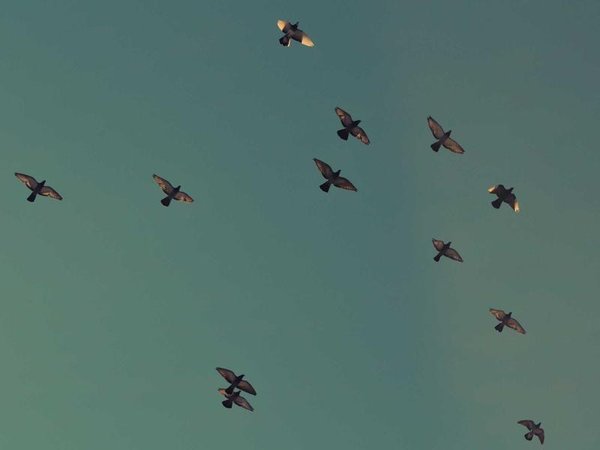 穆爾西亞大學(xué)應(yīng)用心理學(xué)博士：EAP 咨詢師專業(yè)進(jìn)階之路 配圖3