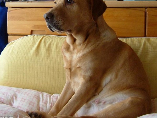 牛津博士后適合醫(yī)管高管申請嗎？ 配圖2