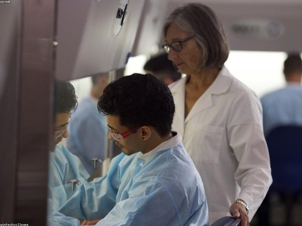 莫大博士后專票開具，支持企事業(yè)單位報銷 配圖2