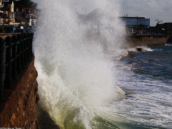 莫斯科國(guó)立大學(xué)博士后項(xiàng)目中英雙語(yǔ)授課無需俄語(yǔ)基礎(chǔ)介紹 配圖3