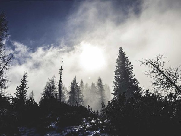 新能源總裁班：把握能源革命時代紅利 配圖2