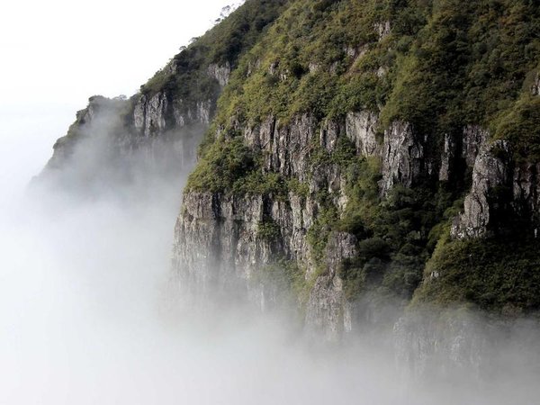 新能源總裁班：把握能源革命時代紅利 配圖3