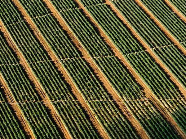 成人本科可以考國企正式編制嗎？ 配圖1