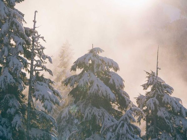 美容師考試分理論實(shí)操嗎？ 配圖3