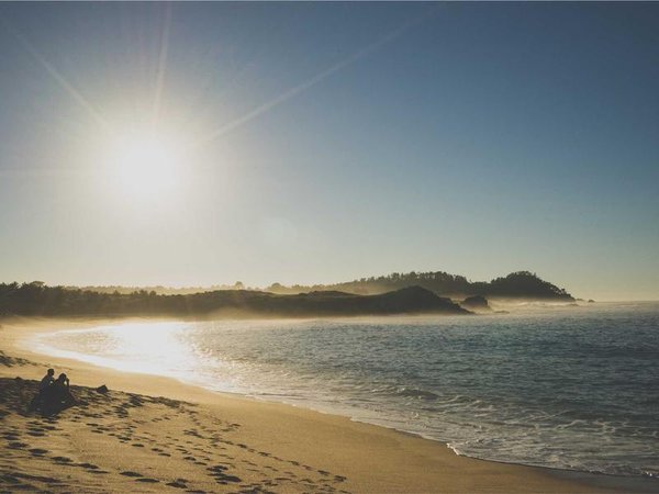 品酒師報(bào)名需要電子版資料嗎？ 配圖2
