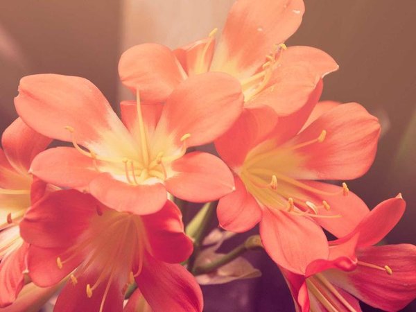 實(shí)戰(zhàn)型財(cái)務(wù)總監(jiān)（CFO）高級研修班2026年9月開課通知 配圖3