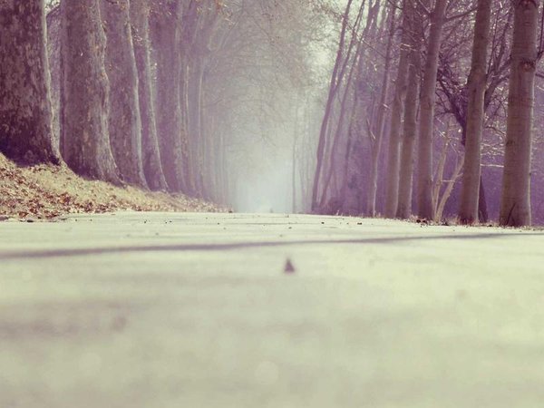 運河私董會：實戰(zhàn)化賦能，助力企業(yè)突破發(fā)展瓶頸 配圖1