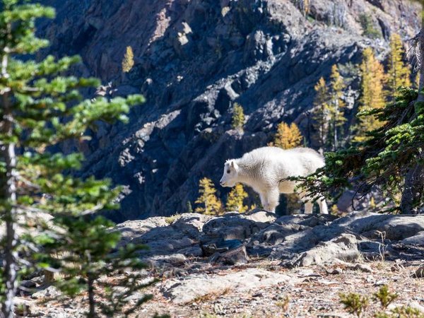 胡安卡洛斯國(guó)王大學(xué)IUNIT的招生條件是什么？ 配圖2