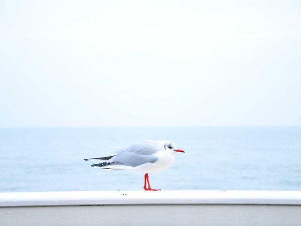 運河私董會的活動形式有哪些？ 配圖1