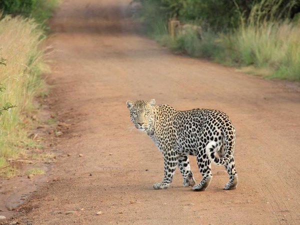 美國金門大學(xué) MBA 申請流程詳細(xì)步驟 配圖2