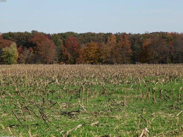 2026 在職研究生避坑指南 配圖3