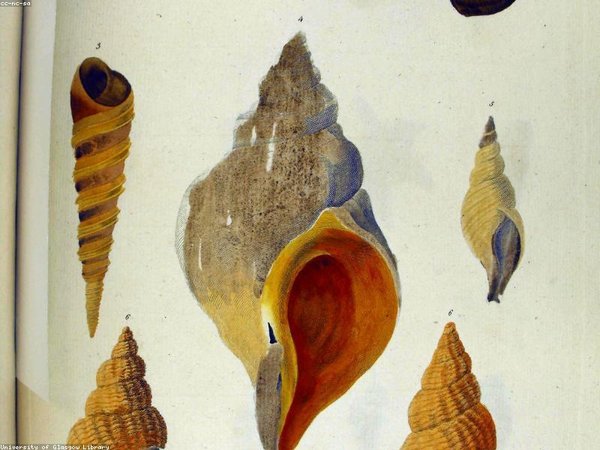 東北大學(xué) EMBA：遼寧地區(qū)高管教育優(yōu)質(zhì)項目 配圖1