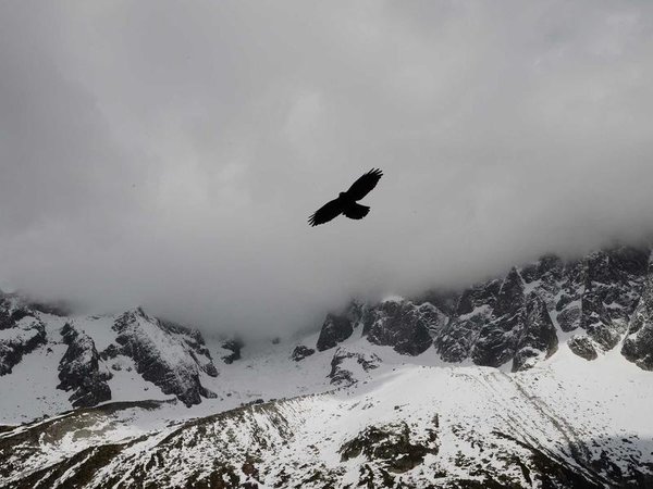 免聯(lián)考 EMBA 避坑：黑名單項(xiàng)目全曝光 配圖1