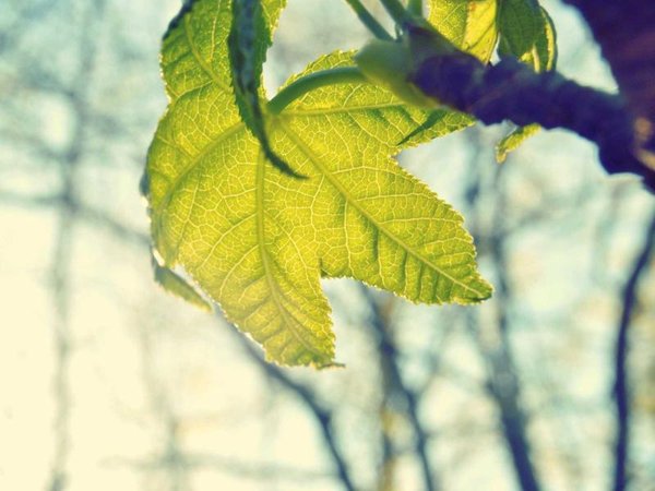 免聯(lián)考 EMBA 避坑：黑名單項(xiàng)目全曝光 配圖3