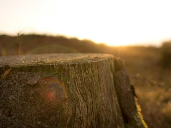 國(guó)企高管 EMBA 學(xué)費(fèi)報(bào)銷流程是什么 配圖2